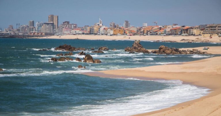 A ride to the beaches of Northern Portugal has never been so pleasant