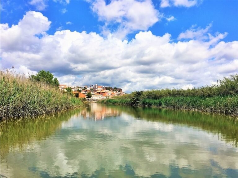 Discover this wonderful river & the medieval city of Silves