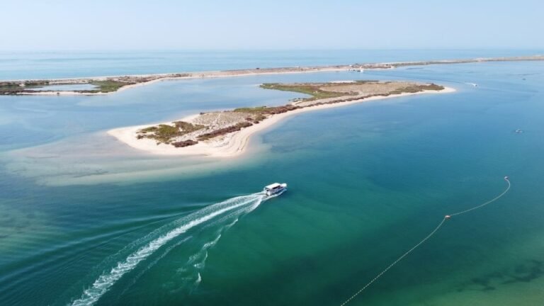 The perfect boat tour for the ones who wish to have a small tour discovering the Natural Park of Ria Formosa and one of the villages in our Islands.