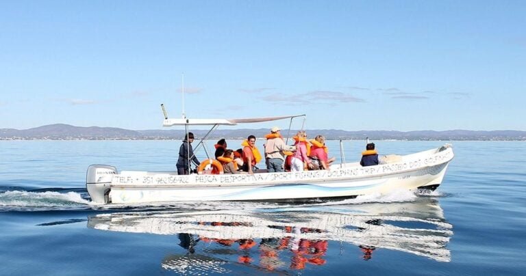 On this tour you will be able to meet the surroundings of OlhÃ£o on a jorney through the islands