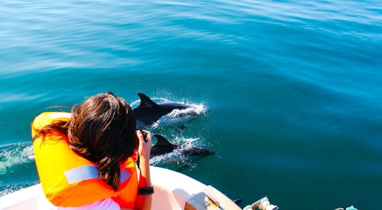 Observe the behavior of dolphins in their natural habitat on this 2.5-hour boat tour starting from OlhÃ£o. Your experienced skipper will take you to the places where the wild dolphins are often seen swimming freely