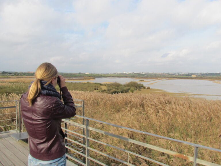 This tour only happens in the afternoon as Thursday morning is visitorâ€™s day at Cruzinha (A ROCHA Portugal field study centre) which you are welcome to join. Also light is better in the afternoon at Lagoa dos Salgados.