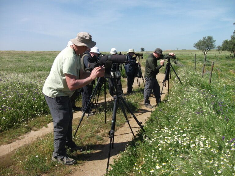 This tour starts very early as we have a long drive (1h30) to reach Castro Verde in the Alentejo. This region has a completely different landscape from the Algarve