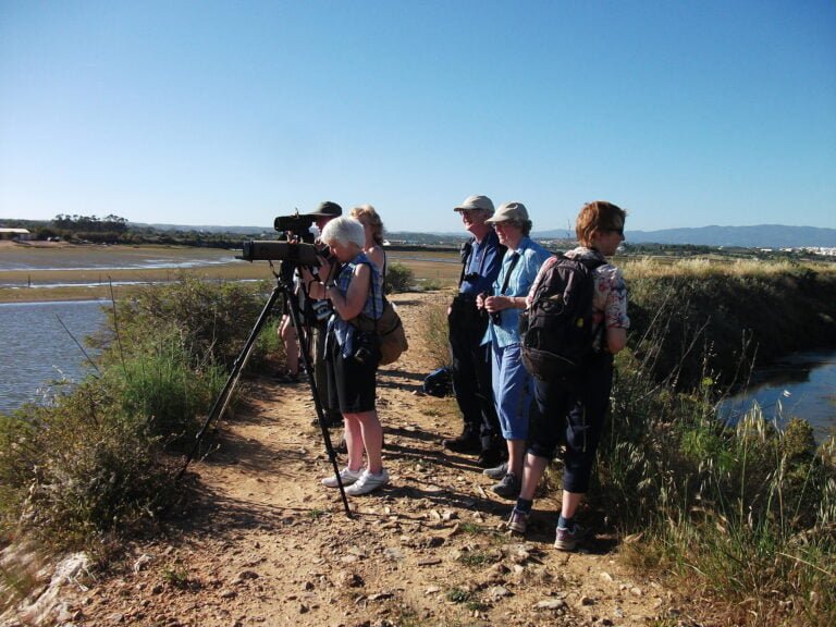 This small walk starts at Cruzinha (A ROCHA field study centre) and goes to the Ria de Alvor marsh. The track to the marsh goes between fields used for grazing or with old orchards