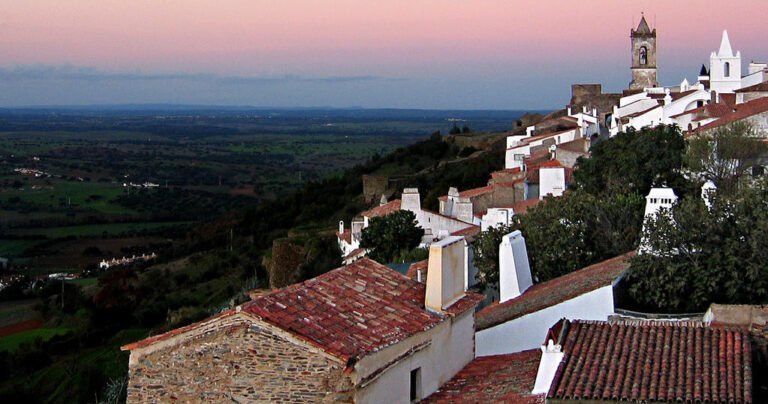 On this tour you will have the opportunity to visit the best wine cellars in Azeitão and eat lunch served in an actual producerâ€™s farm in the heart of Alentejo. An experience not to be missed.