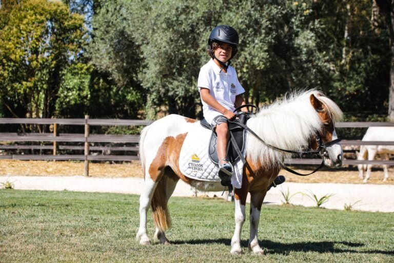 Experience designed for a first contact with our ponies. The youngest ones