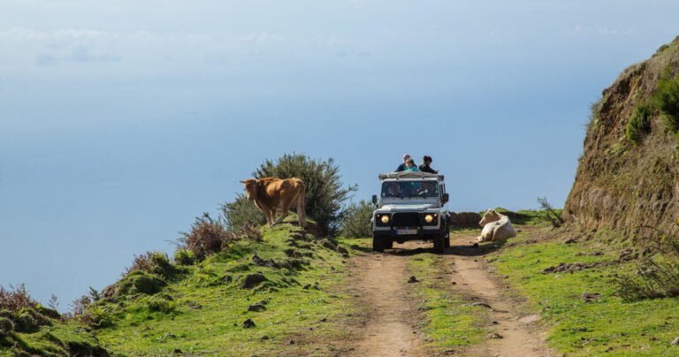 Experience the privilege of exploring the fascinating landscapes along the rugged North coast of Madeira. Crystal clear air and mysterious wilderness add up to a journey in the indigenous “Laurisilva” forest and descend to the impressive villages of the outstanding Northern coast.