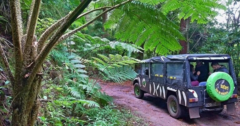 Venture off-road to explore the rugged mountains and rural villages of Madeira on this half-day safari from Funchal. Travel around the Fajãdos Padres cliffs in an open-top safari vehicle