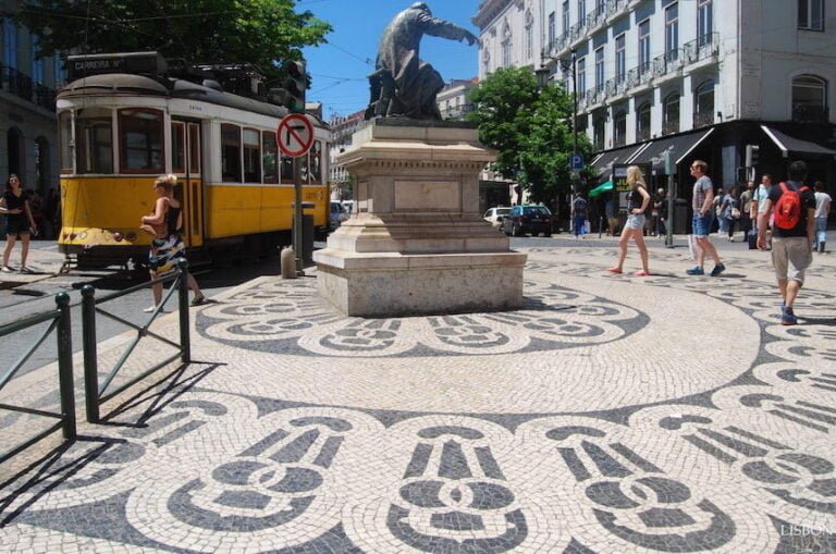 There is no need to be canned up like a sardine to really get to know Lisbon. Come catch with us the most popular wave in the city