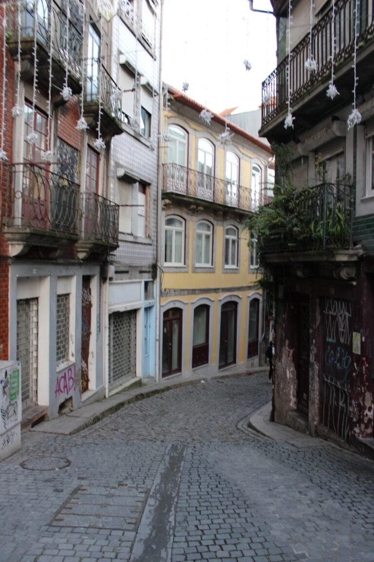 Briefly local introduction to Porto city. Customized tour according your questions and needs. Know more about the history and culture of the city and get more practical information as well.