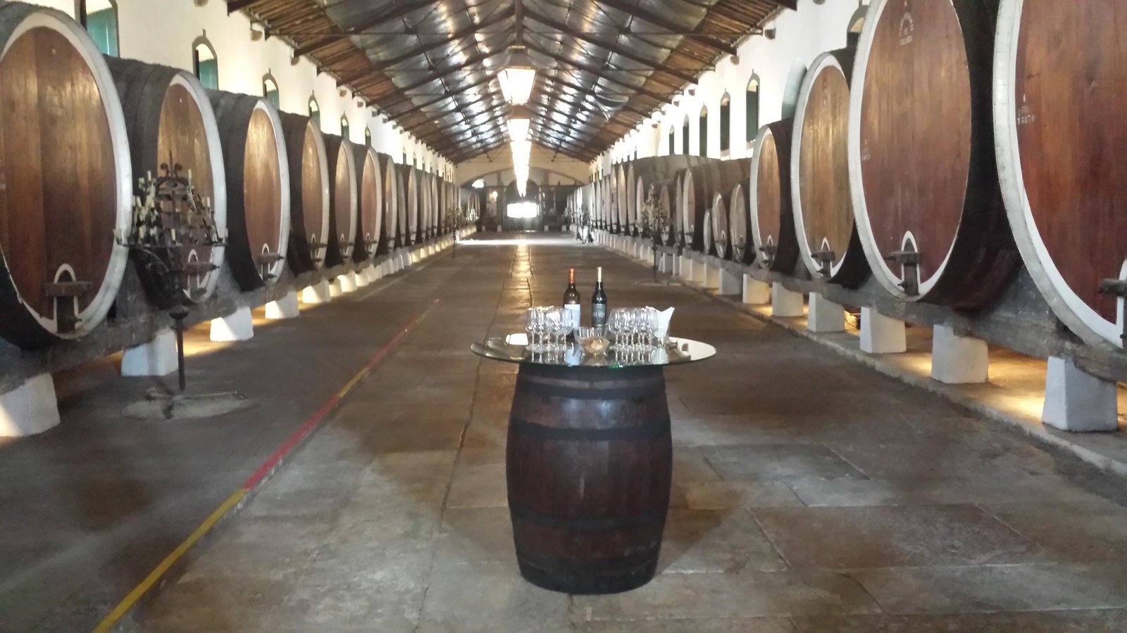 Visit the best of two regions. See the most famous wineries of Sintra and Azeitão