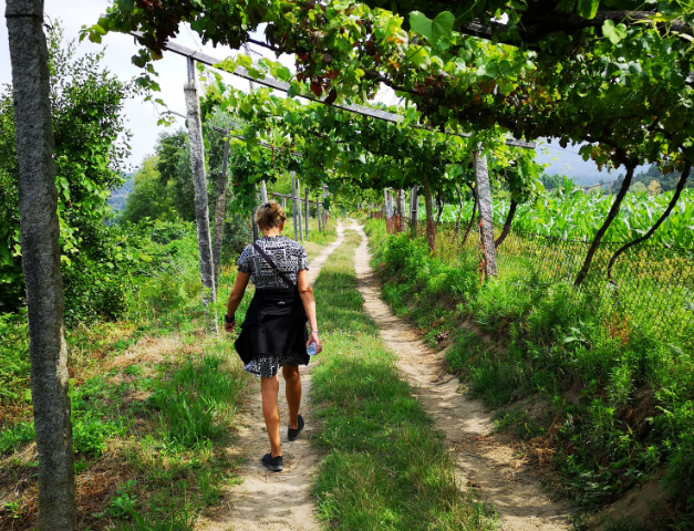 Walking tour - Lomba