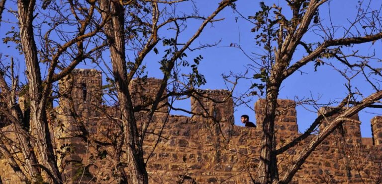 Obidos Medieval Village & Buddha Eden Tour