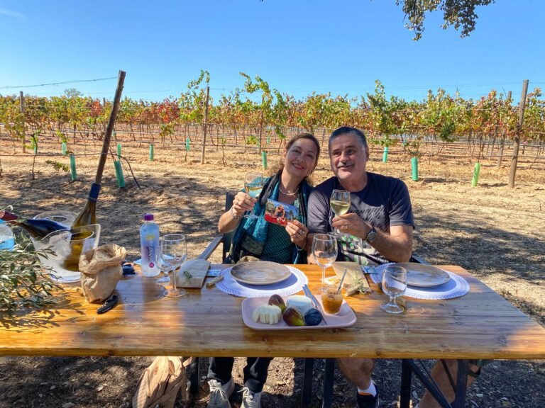 Algarve Romantic Vineyard Picnic - Private Tour