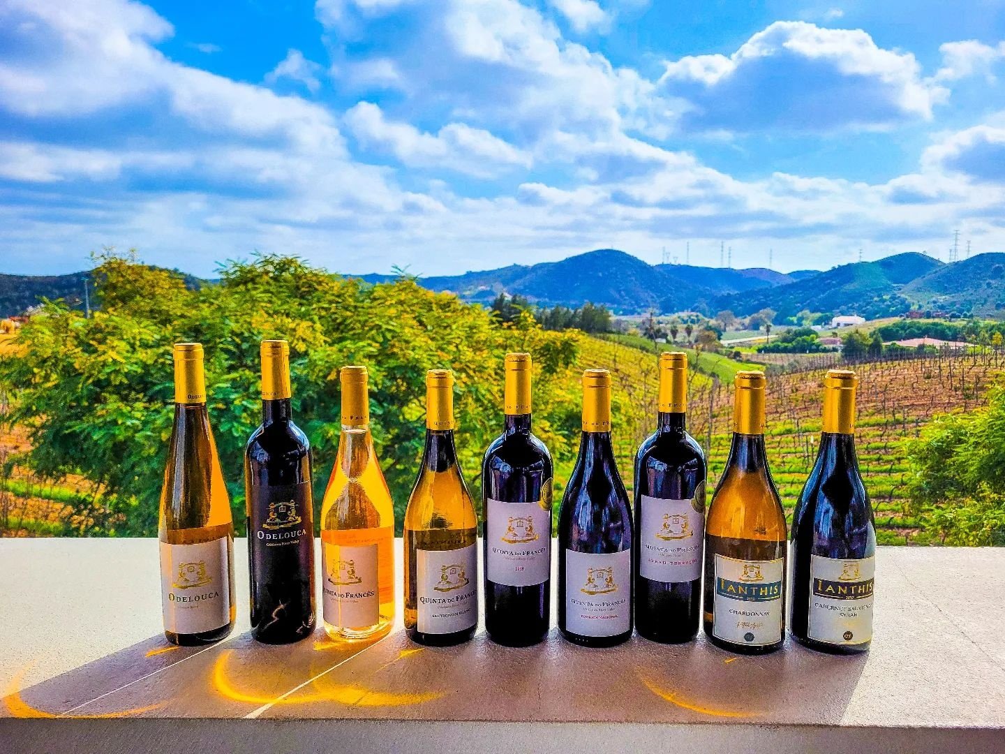 Wine Tasting Tour from Lagos