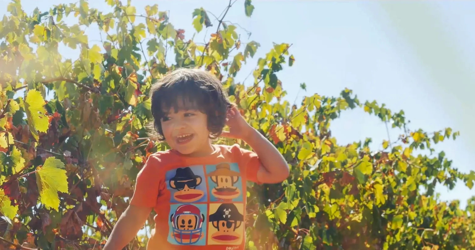 Pequenos Produtores de Vinho
