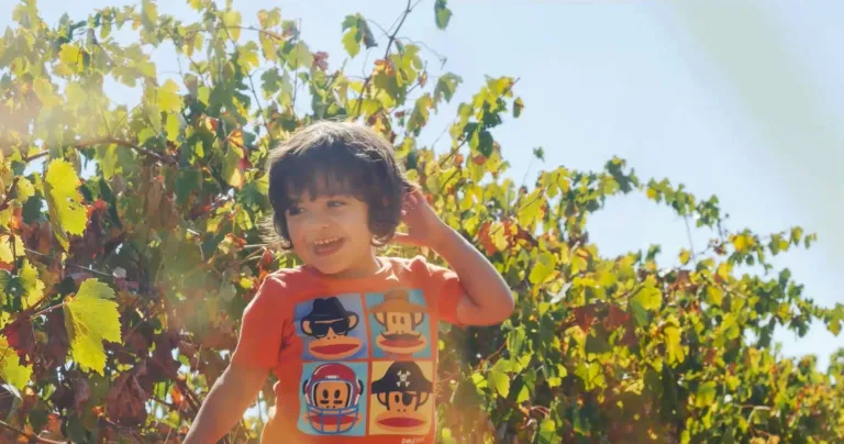 Pequenos Produtores de Vinho
