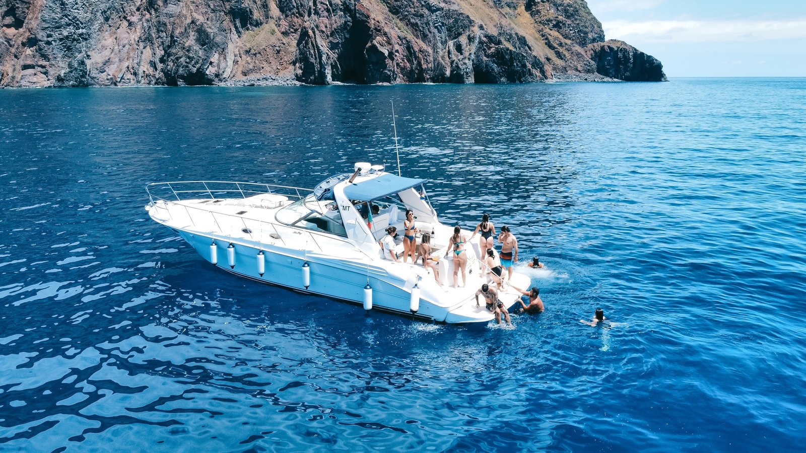 Gringo Yacht - Shared whale and dolphin watching