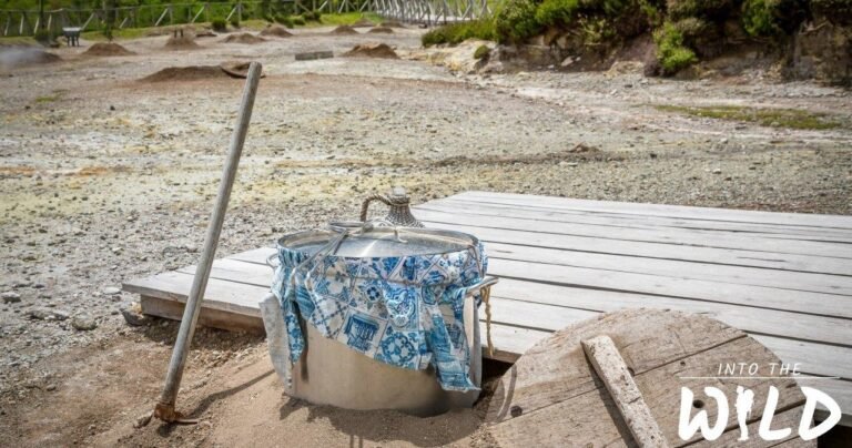 Furnas With Lunch Included