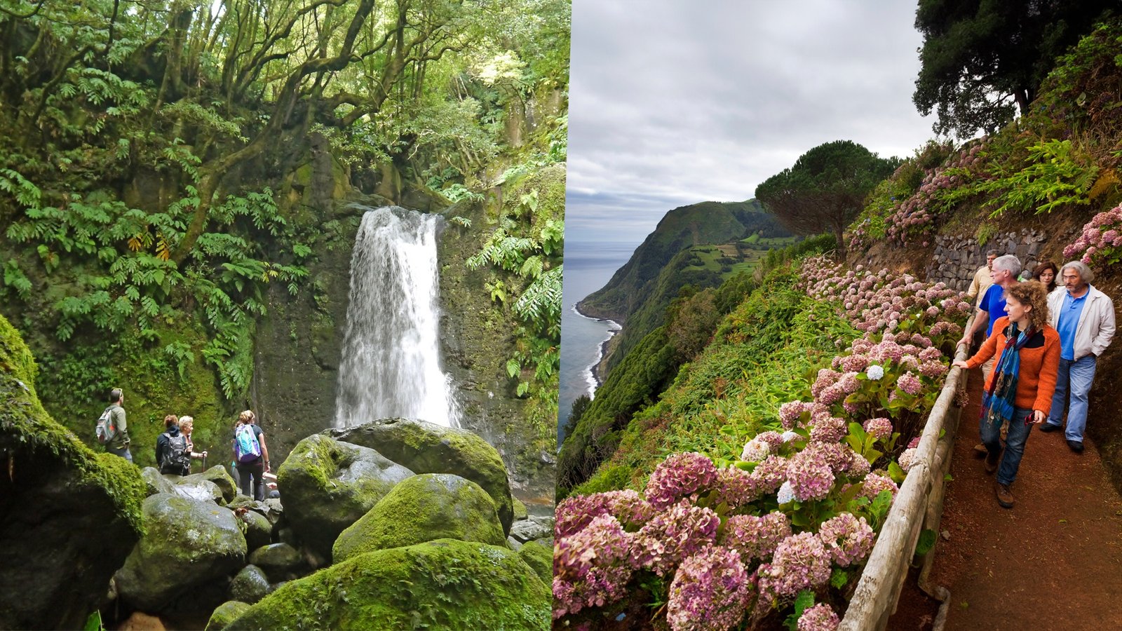 Caminhada Faial da Terra + Passeio de Carrinha ao Nordeste
