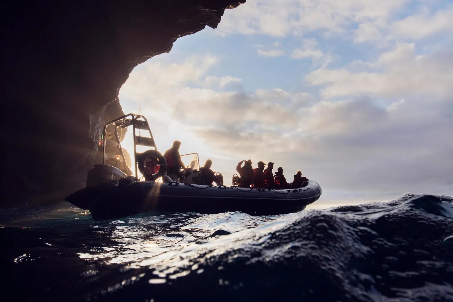 Privat charter för valskådning
