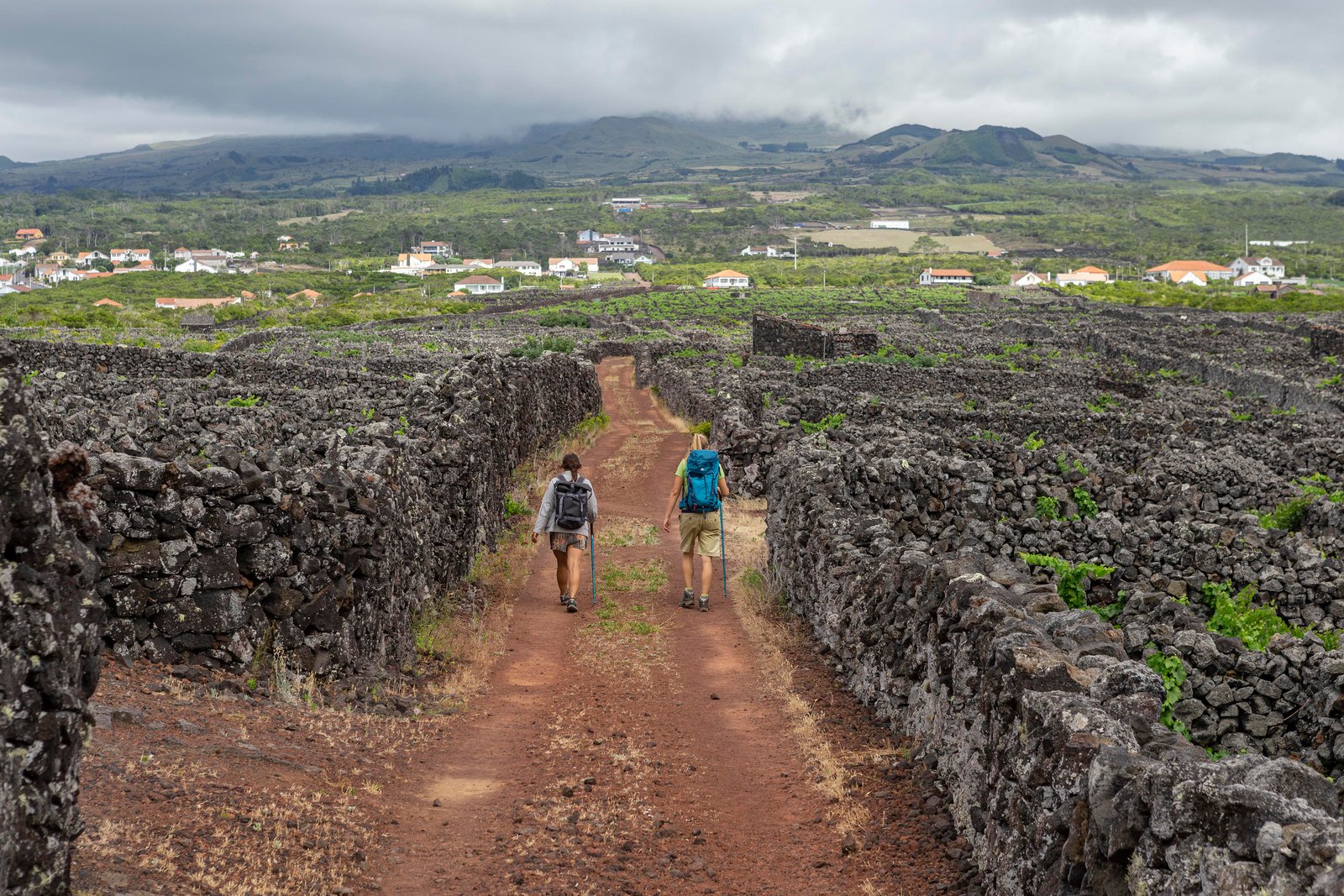 Caminhada • Vinhas da Criação Velha • Meio Dia