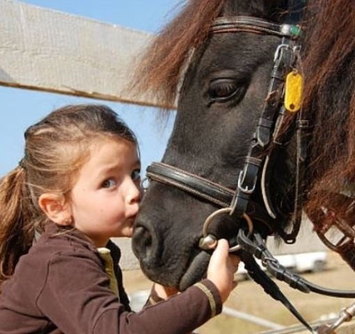 Private Pony Experience