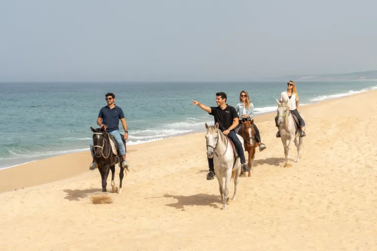 Setúbal & Beach Horse Riding from Lisbon