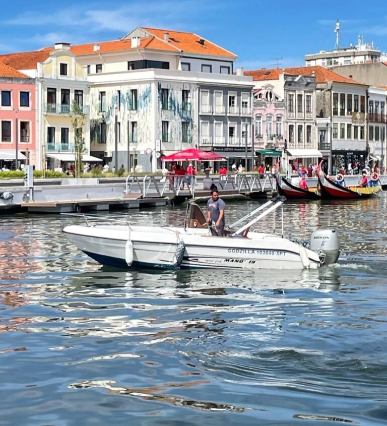 Ria de Aveiro Highlights | Speedboat