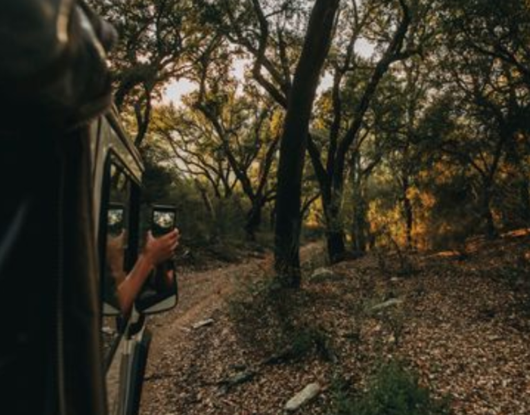 Trilho do Javali (áudio-guia)