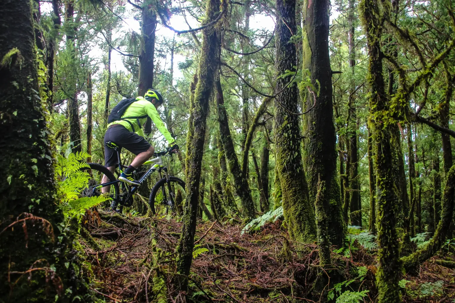 Noleggio bici Sete Cidades