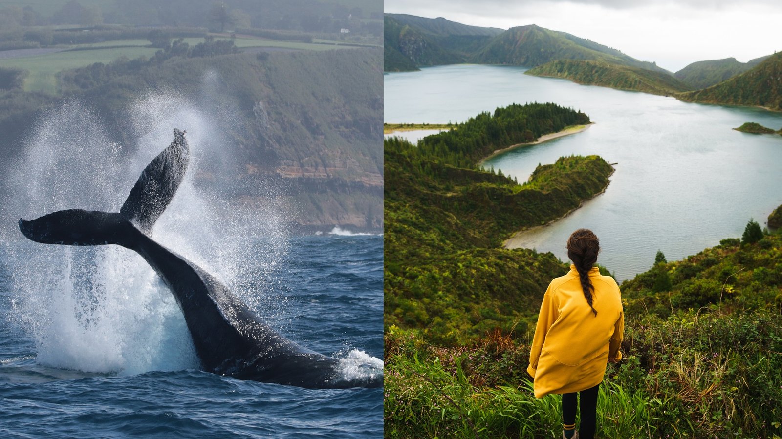 Observação de Baleias e Golfinhos + Jeep Tour à Lagoa do Fogo - Dia Inteiro