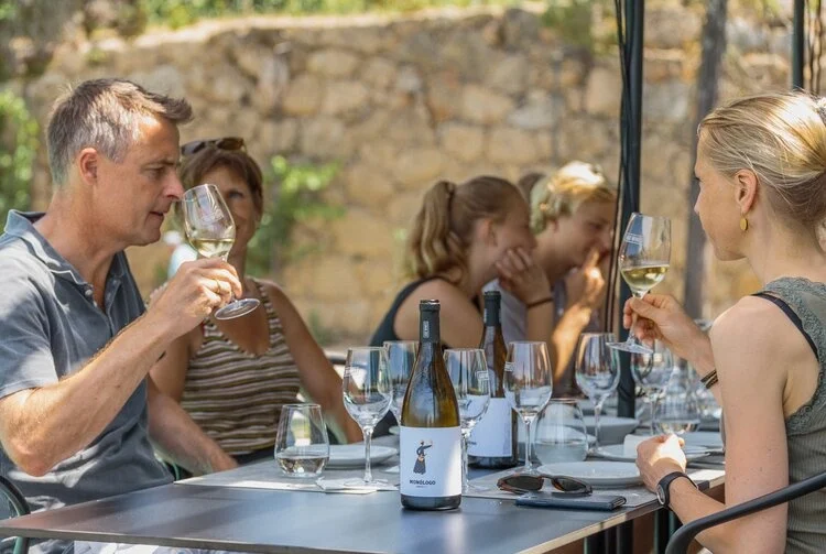 Passeio Privado do Vale do Douro & Vinho Verde: Visite 3 Quintas com Provas de Vinho e Almoço