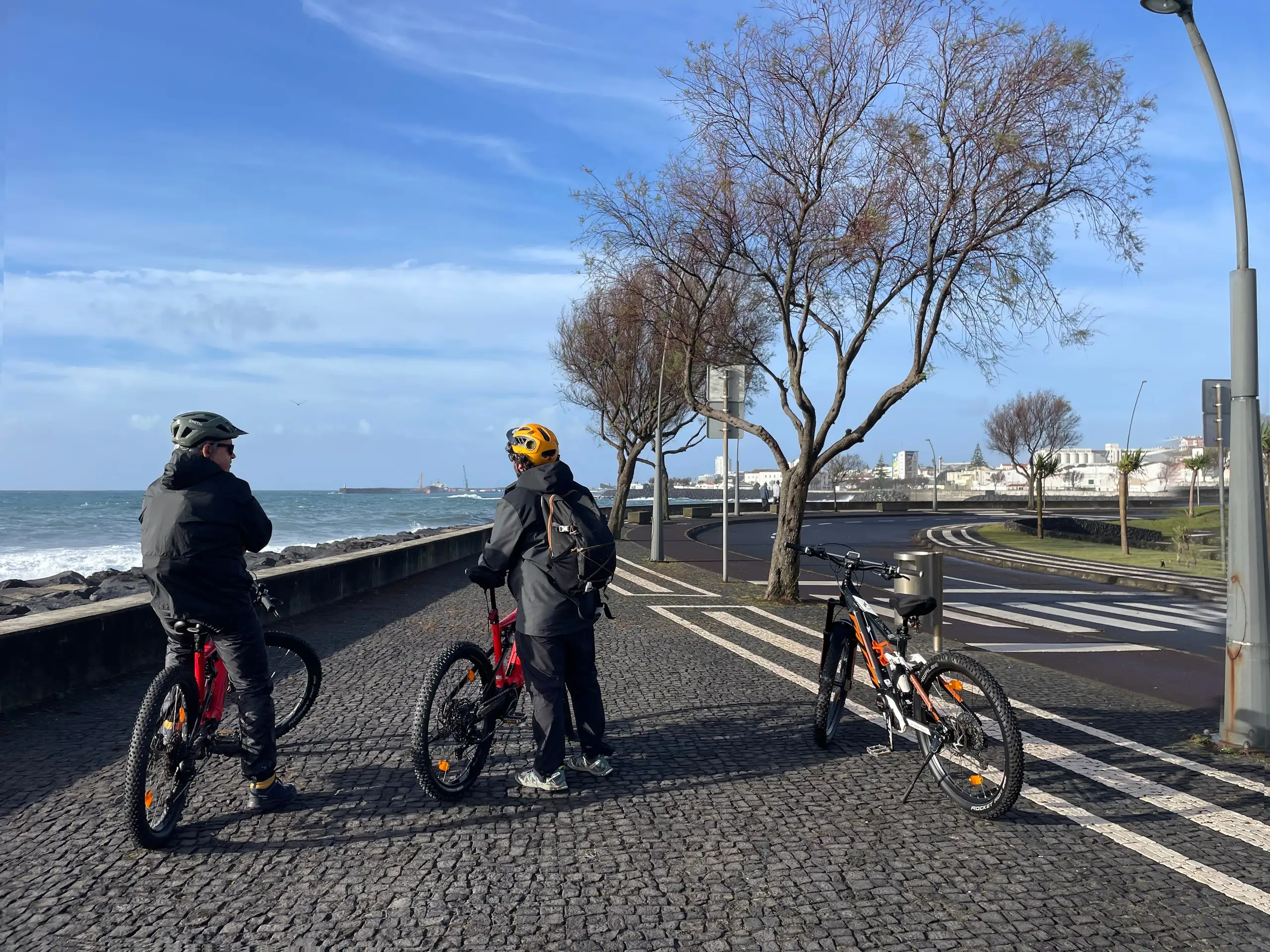 E-bike City Tour