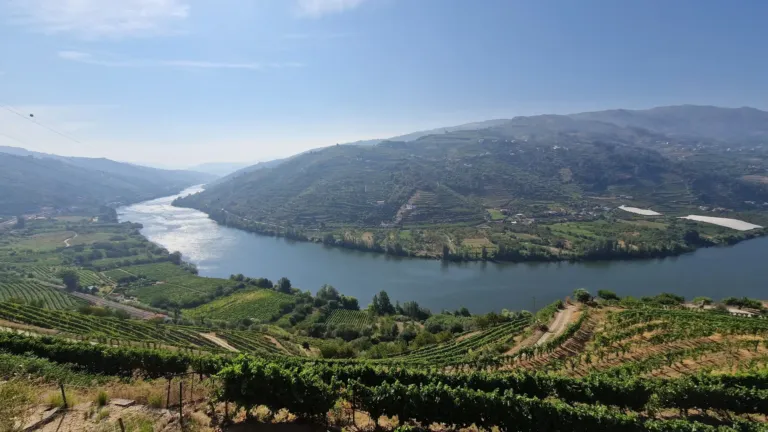 Passeio ao Vale do Douro com Visita a Duas Adegas e Prova de Vinhos e passeio de Barco