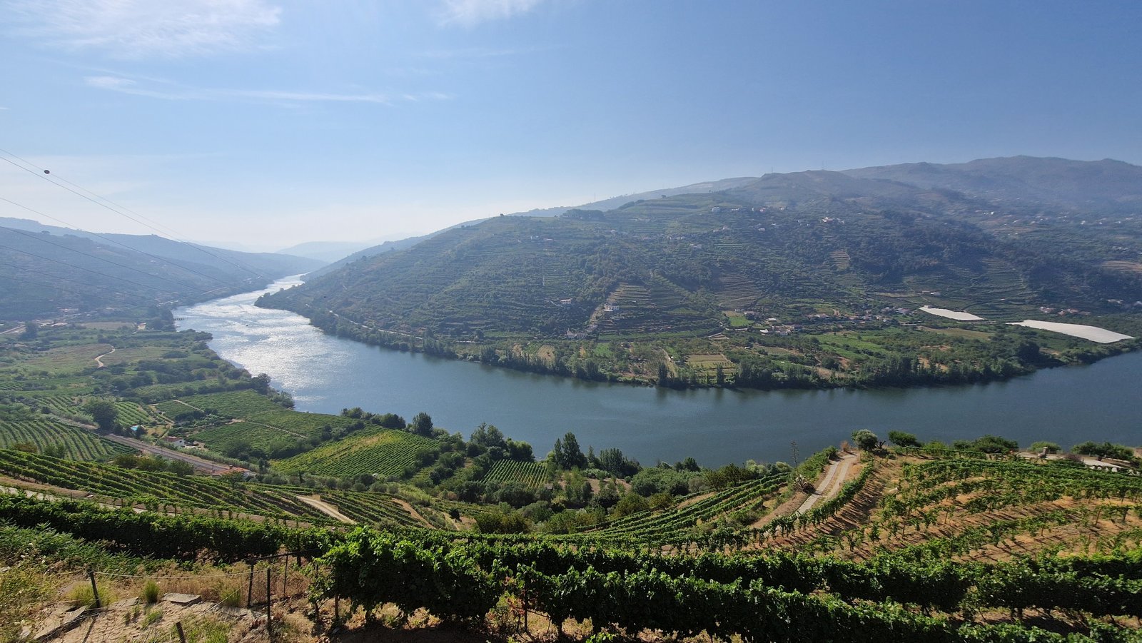 Passeio ao Vale do Douro com Visita a Duas Adegas e Prova de Vinhos e passeio de Barco
