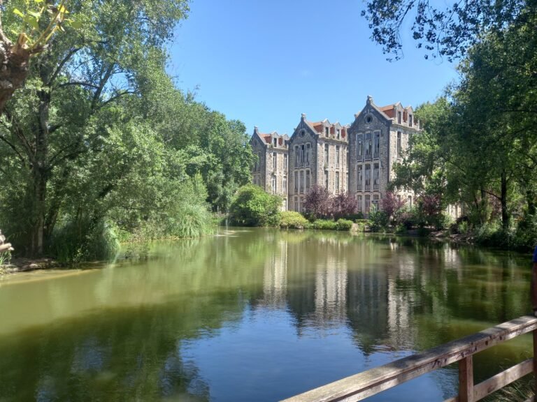 Best of Caldas da Rainha with a local guide