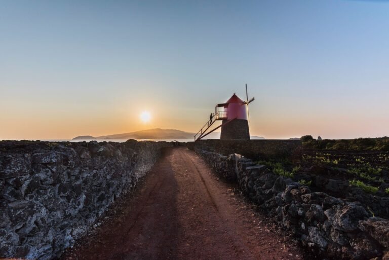 Passeio de Carrinha • Cultura do Vinho • Ilha do Pico • Dia Inteiro
