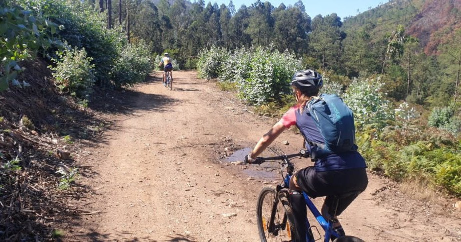 Mountain bike tour (MTB) in Porto