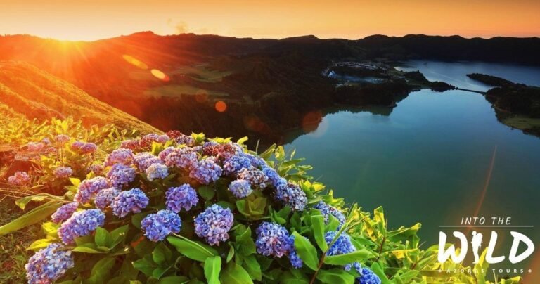 Sete Cidades and Lagoa do Fogo