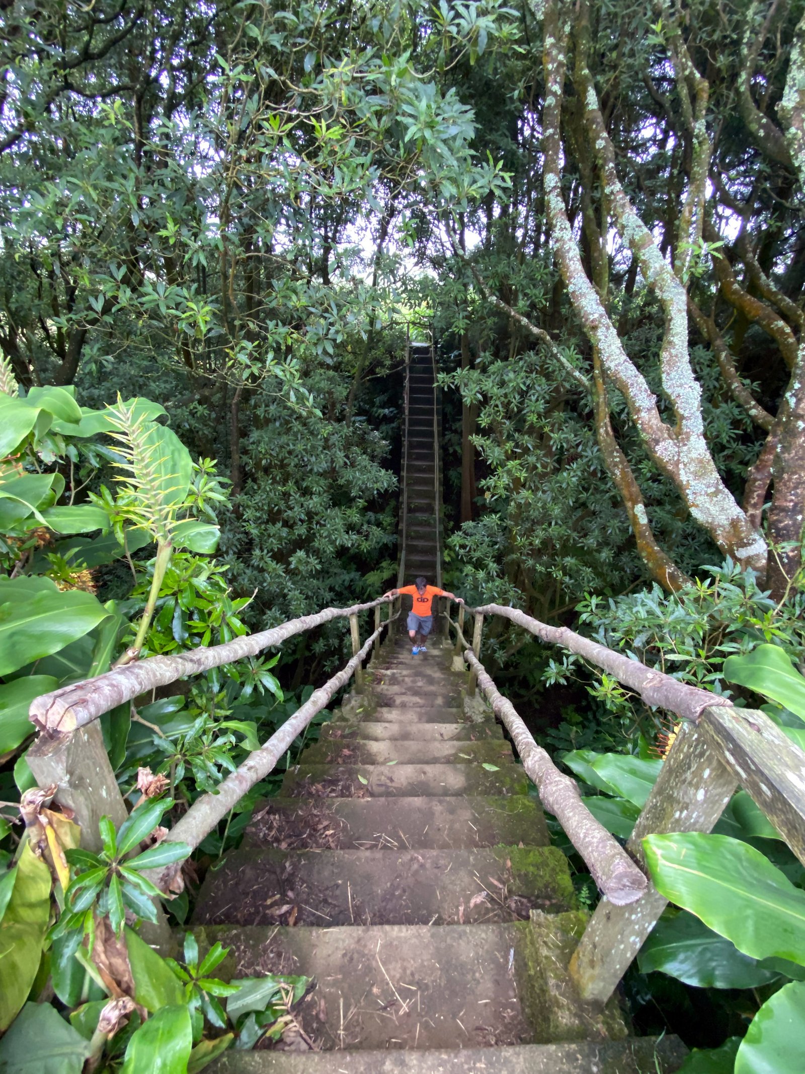 Trilho Janela do Inferno + Caldeira Velha