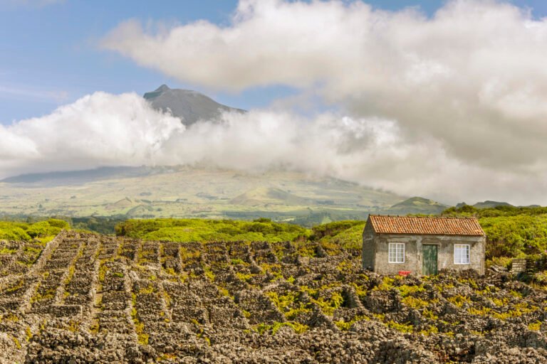 Passeio de Carrinha • Pico Tour • Meio Dia