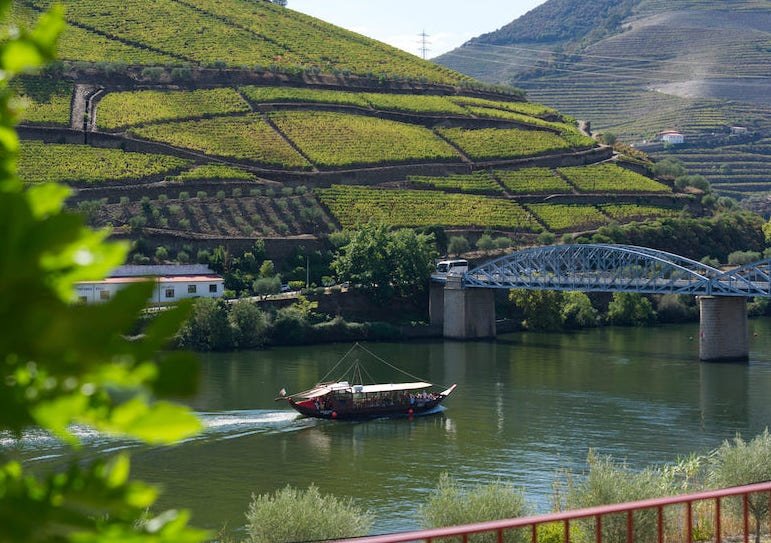 Passeio Privado Vale do Douro: 2 Quintas com Provas de Vinho
