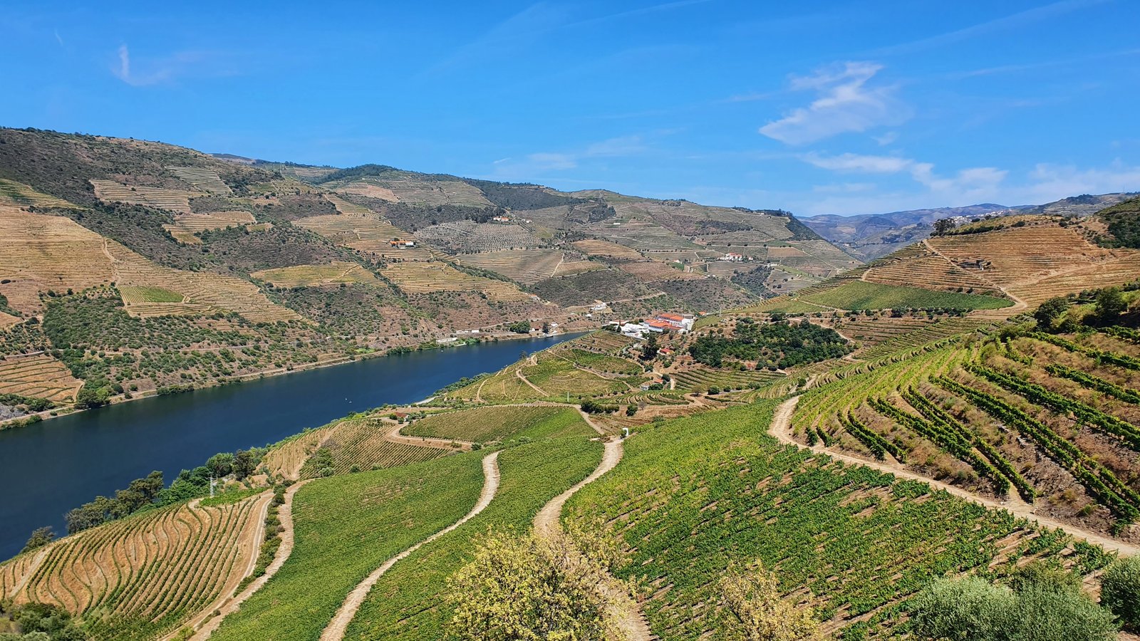 Passeio ao Vale do Douro com prova de Vinho