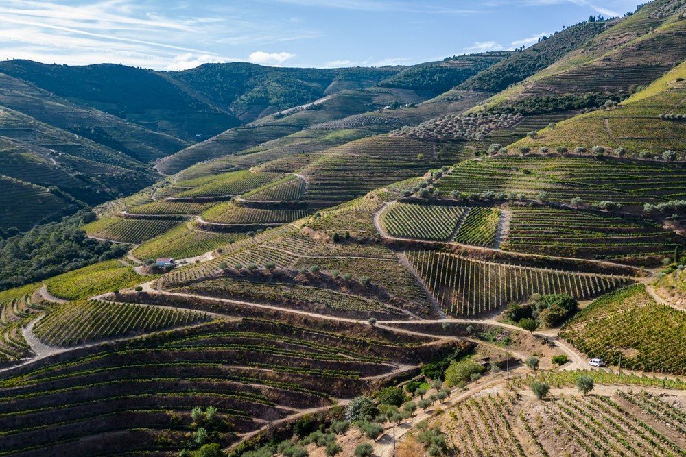 Passeio Privado Vale do Douro: Visite 3 Quintas com Provas de Vinho & Almoço