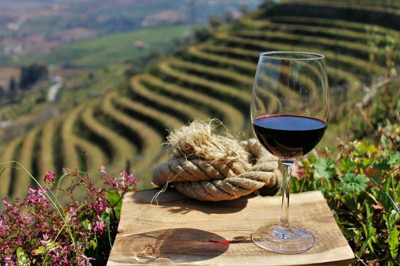 Private Tour - Douro Valley: 1 Winery