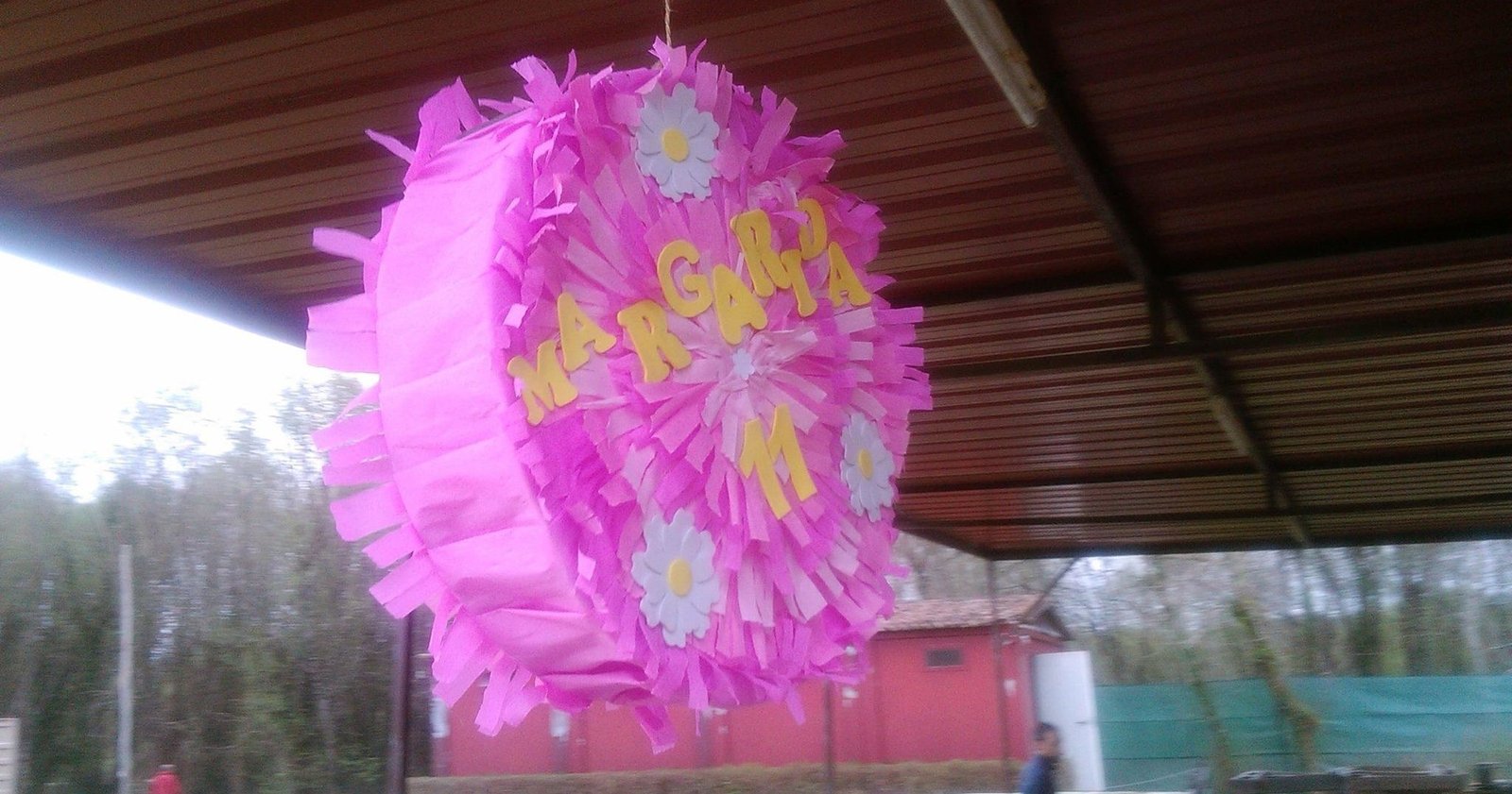 Programas - Aniversários