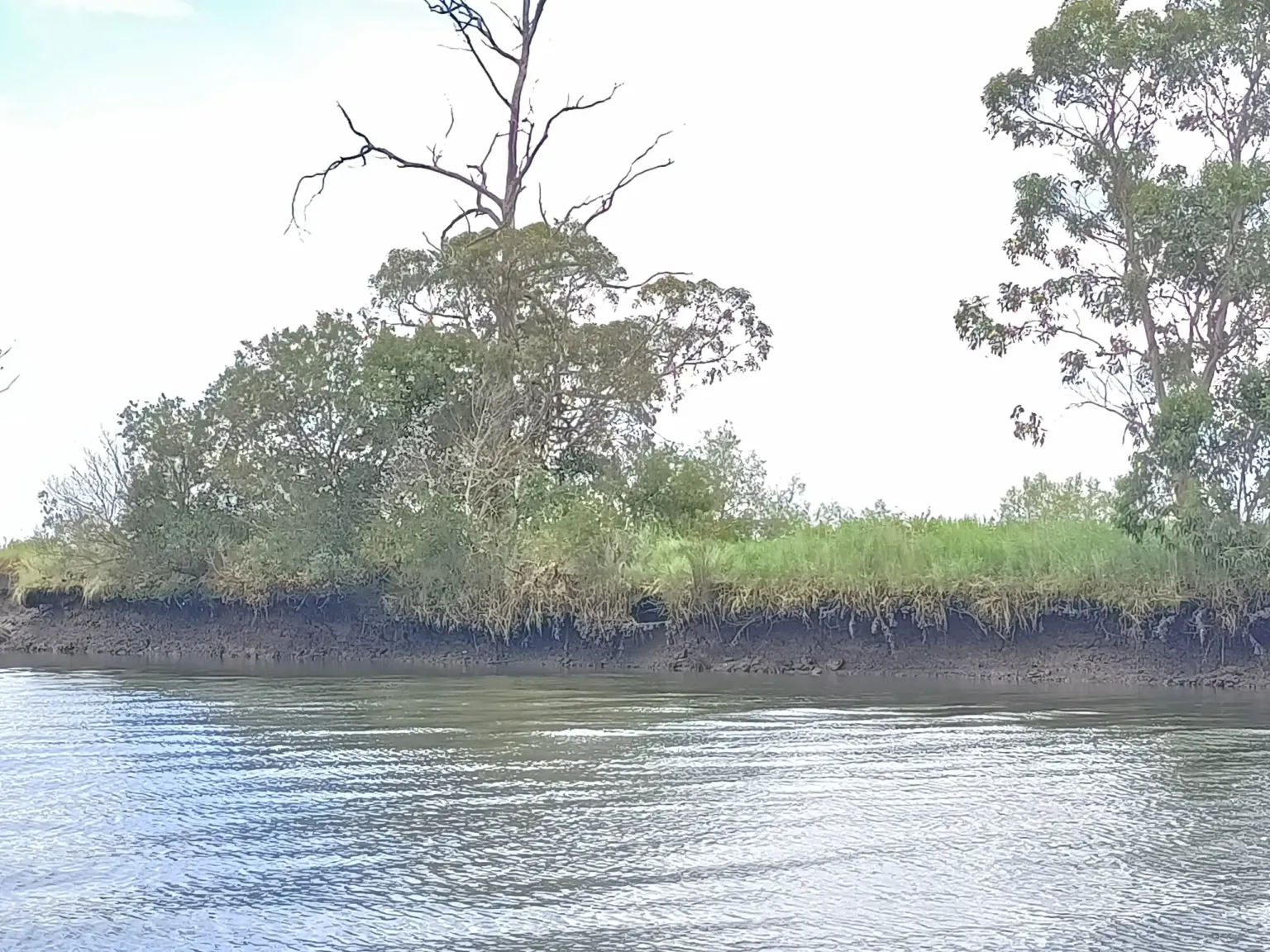 River Vouga Boat Expedition