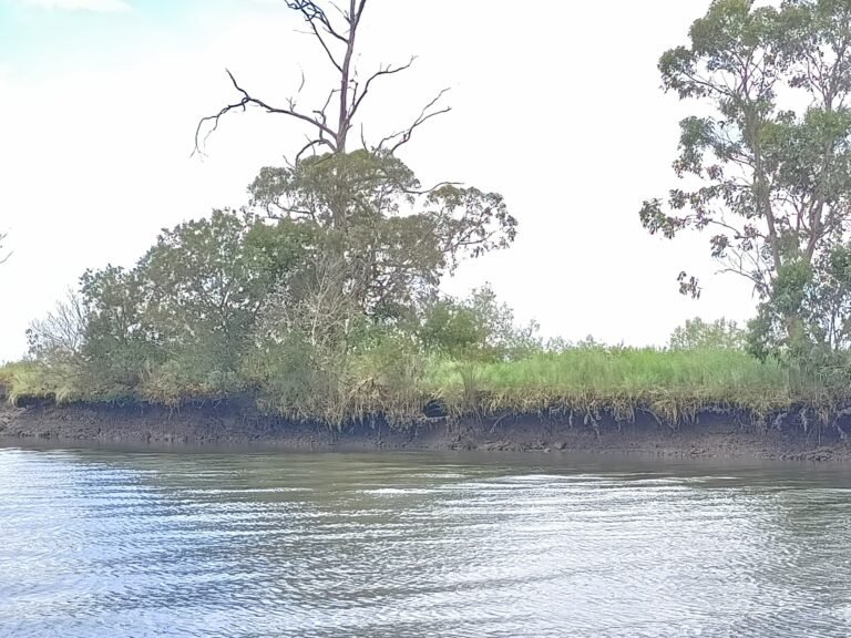 River Vouga Boat Expedition