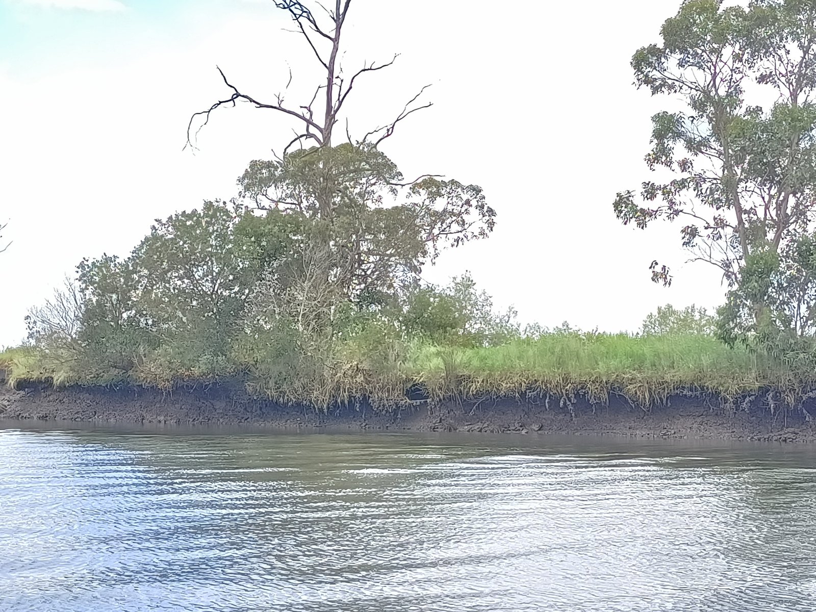River Vouga Boat Expedition